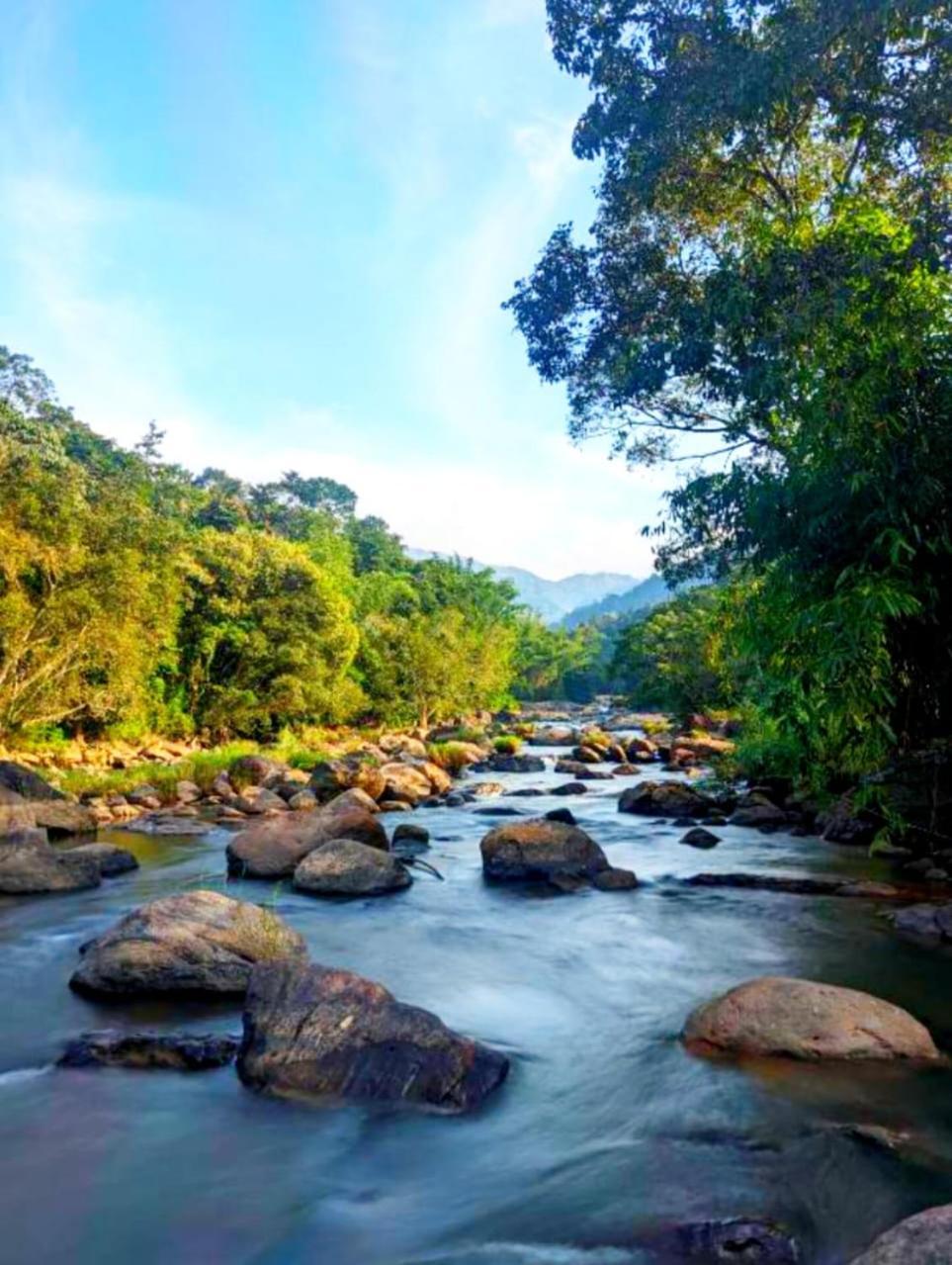 Mistey Valley Munnar Villa Anachal Eksteriør billede